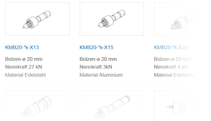 Individuelle Anpassung der Kraftmessbolzen